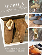 Load image into Gallery viewer, Faux Fur Lined Shortie Boots