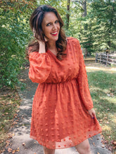 Load image into Gallery viewer, Swiss Dot Classic Mini Dress SAMPLE
