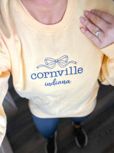 Load image into Gallery viewer, City Sate/ Sport Team Embroidered Sweatshirt