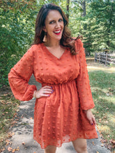 Load image into Gallery viewer, Swiss Dot Classic Mini Dress SAMPLE