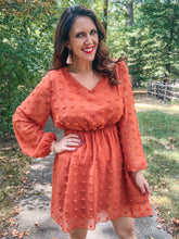Load image into Gallery viewer, Swiss Dot Classic Mini Dress SAMPLE