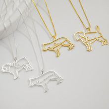 Load image into Gallery viewer, *Preorder: Custom Pet Name and Silhouette Necklace*
