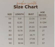 Load image into Gallery viewer, RTS: Pumpkin kids sweater