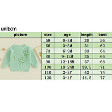 Load image into Gallery viewer, RTS: Clover Leaf Embroidered Sweater-
